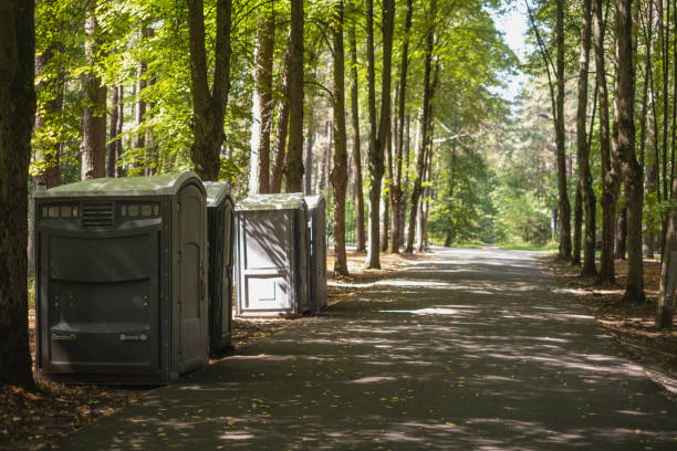 Portable Toilet Options We Offer in Springdale, SC